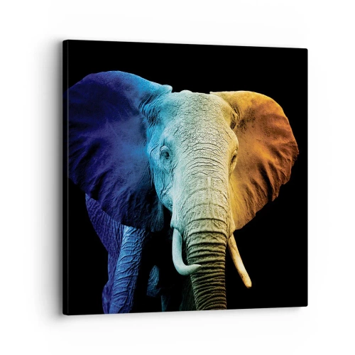 Canvastavla - Bild på duk - Excentriker, ej kuf - 30x30 cm