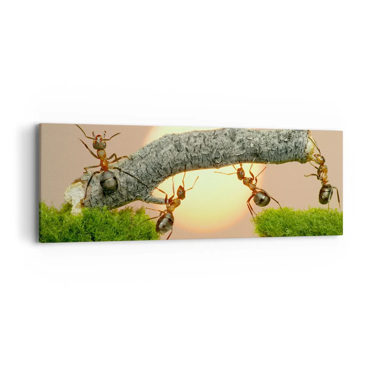 Canvastavla - Bild på duk - Glatt, gemensamt arbete - 90x30 cm