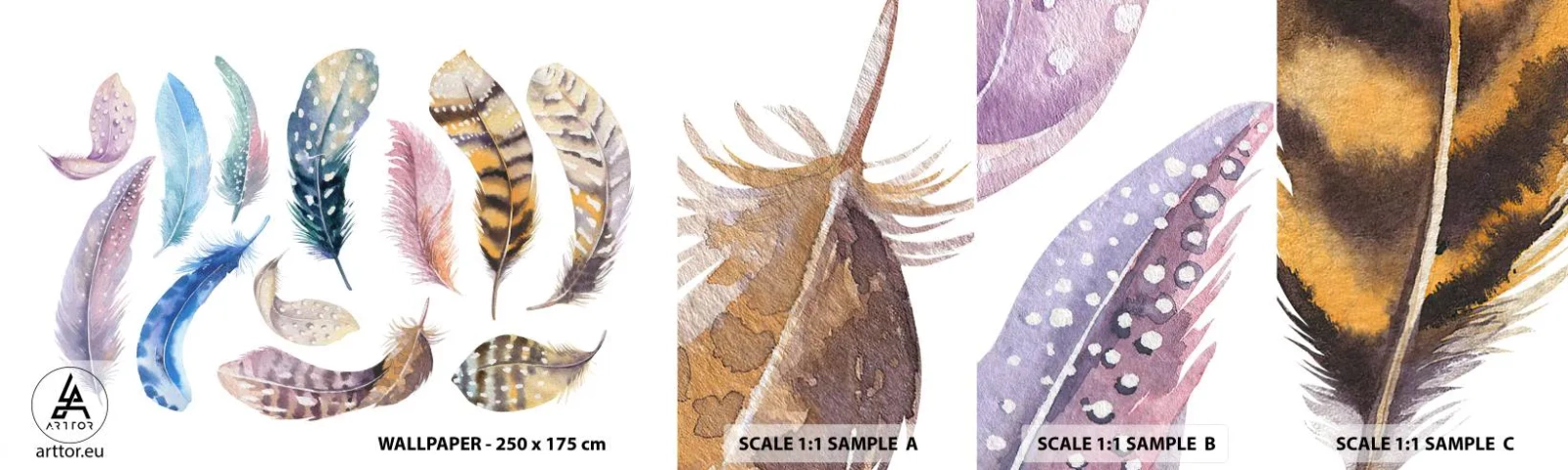 Fototapet Prov Standard Eco - Lätta, färgglada och färgrika - Fågelfjädrar, Fåglar, Grafik - 100x30 cm