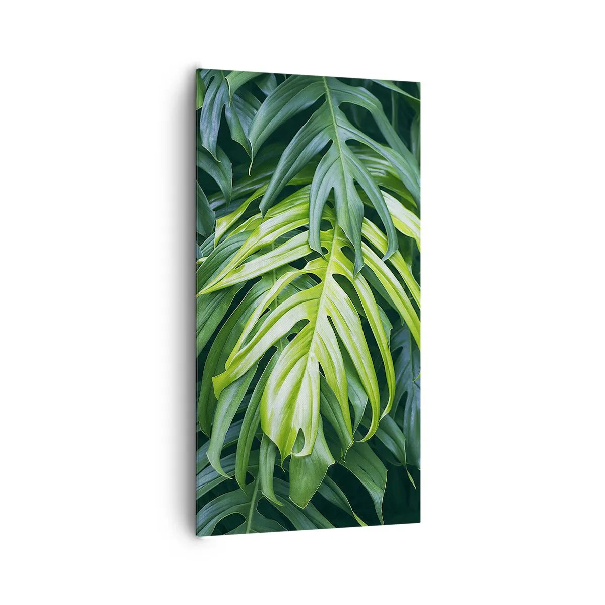 Canvastavla - Bild på duk - Doppa sig i fräschheten - 65x120 cm