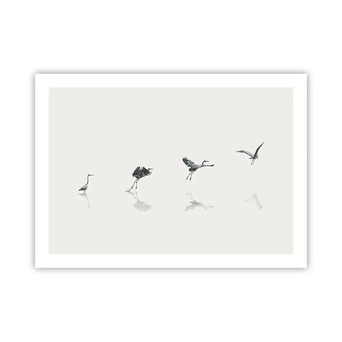 Affisch - Fyra enkla steg - 70x50 cm