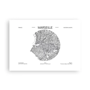 Affisch - Marseilles anatomi - 70x50 cm