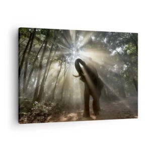 Canvastavla - Bild på duk - En elefant i skogen omgiven av ljusstrålar i morgondimman - 70x50cm - Under en lycklig stjärna - Modern väggdekoration för vardagsrum och sovrum ARTTOR