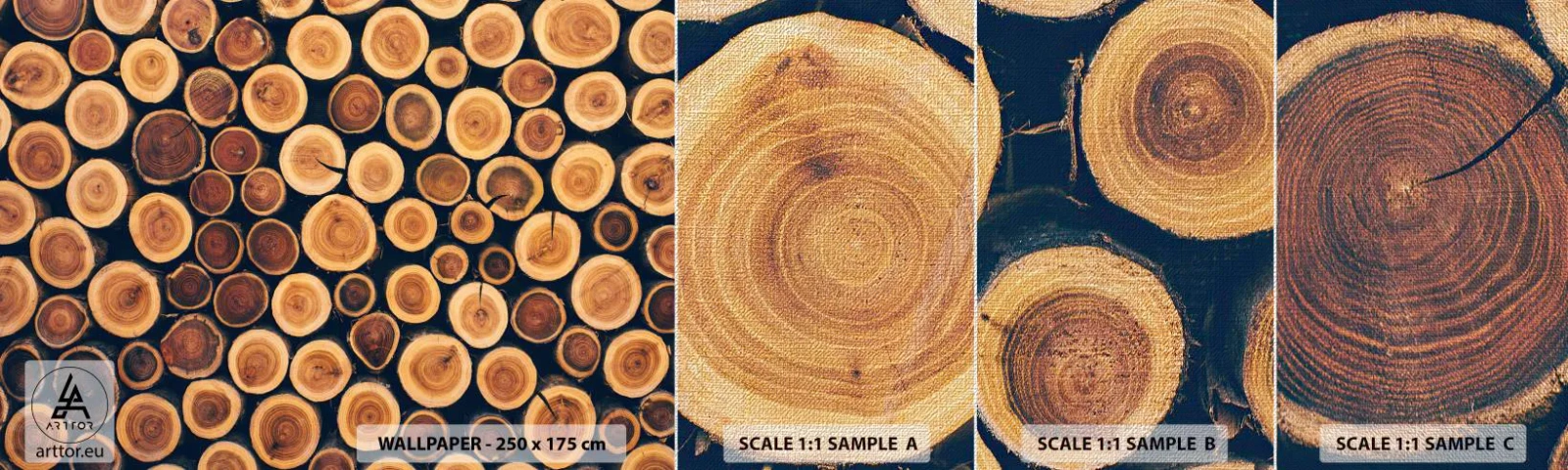 Provbit av fototapet Premium Canvas - Hur gammal ser jag ut att vara? - Trädstam, Skog, Bit - 100x30 cm