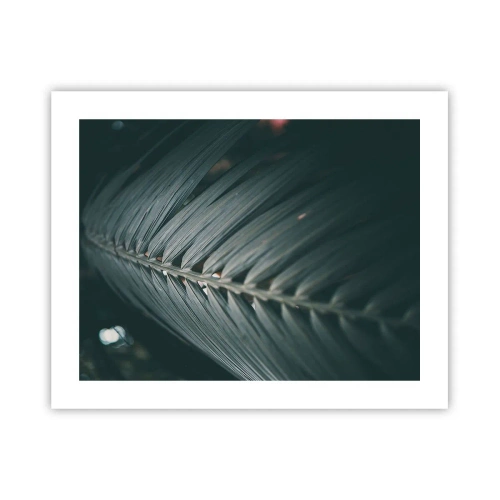 Affisch - Naturens precision - 50x40 cm