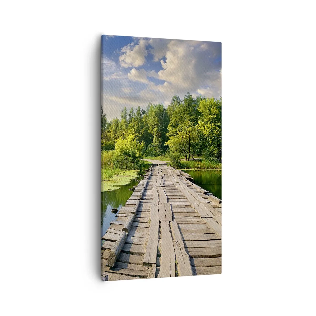 Canvastavla - Bild på duk - Sommar, sommar överallt - 55x100 cm