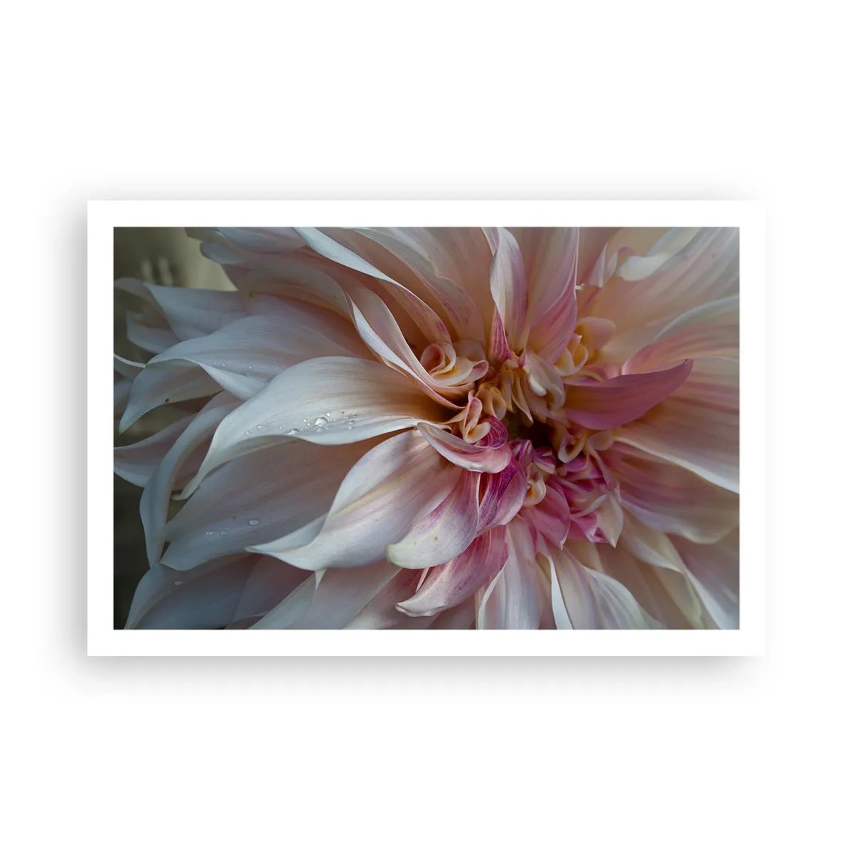 Affisch - Blommande friskhet - 91x61 cm