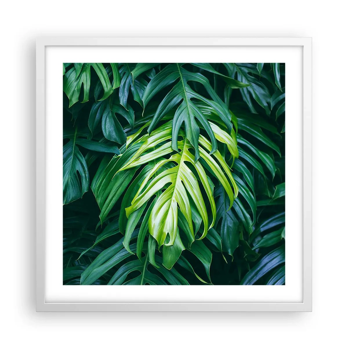 Affisch i vit ram - Doppa sig i fräschheten - 50x50 cm