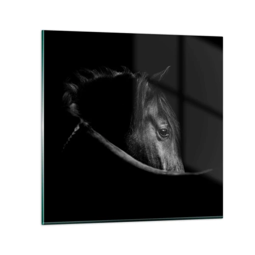 Glastavla - Bild på glas - Svart prins - 70x70 cm