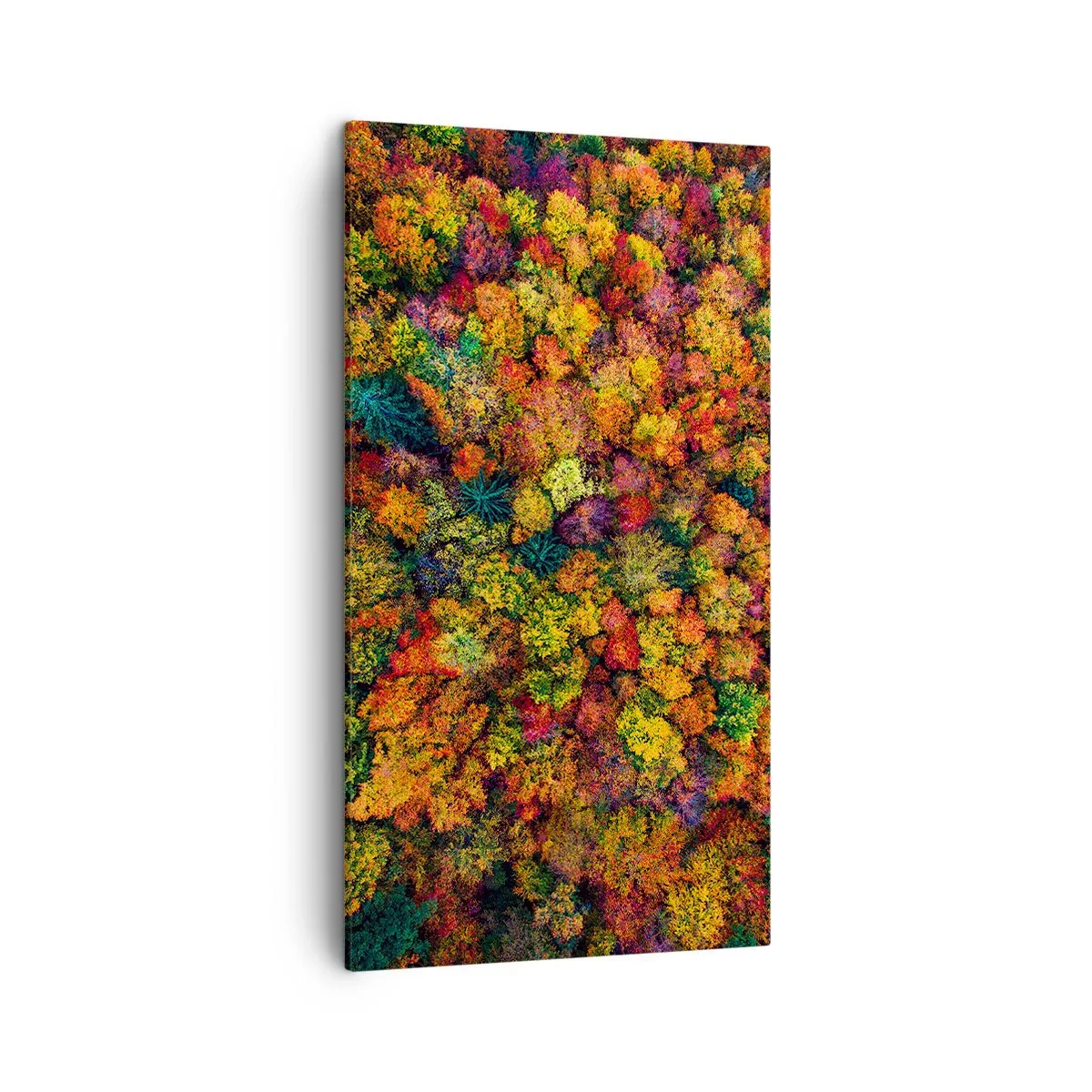 Canvastavla - Bild på duk - Höstträdens bukett - 45x80 cm