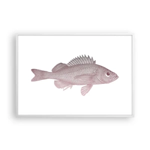 Affisch i vit ram - Storögd fisk - 100x70 cm