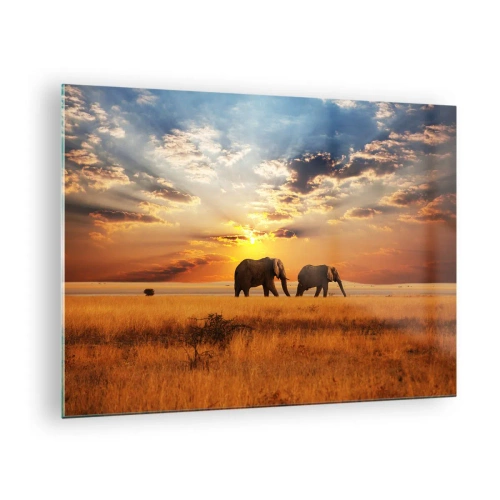 Glastavla - Bild på glas - Elefanter på den afrikanska savannen vid solnedgången - 70x50cm - Familjepromenad - Modern väggdekoration för vardagsrum och sovrum ARTTOR