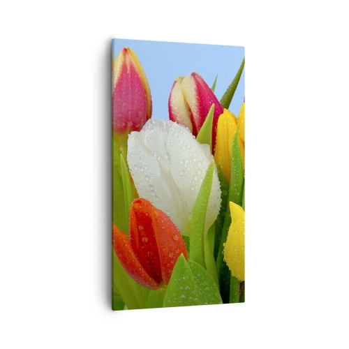 Canvastavla - Bild på duk - blommig regnbåge i daggdroppar - 55x100 cm