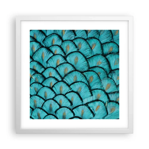 Affisch i vit ram - Den stora fjädergalan - 40x40 cm