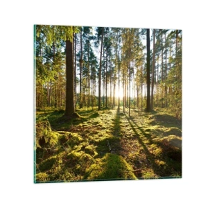 Glastavla - Bild på glas - ...Bortom sjunde skogen - 70x70 cm
