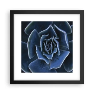 Affisch i svart ram - Öknens blomma - 30x30 cm