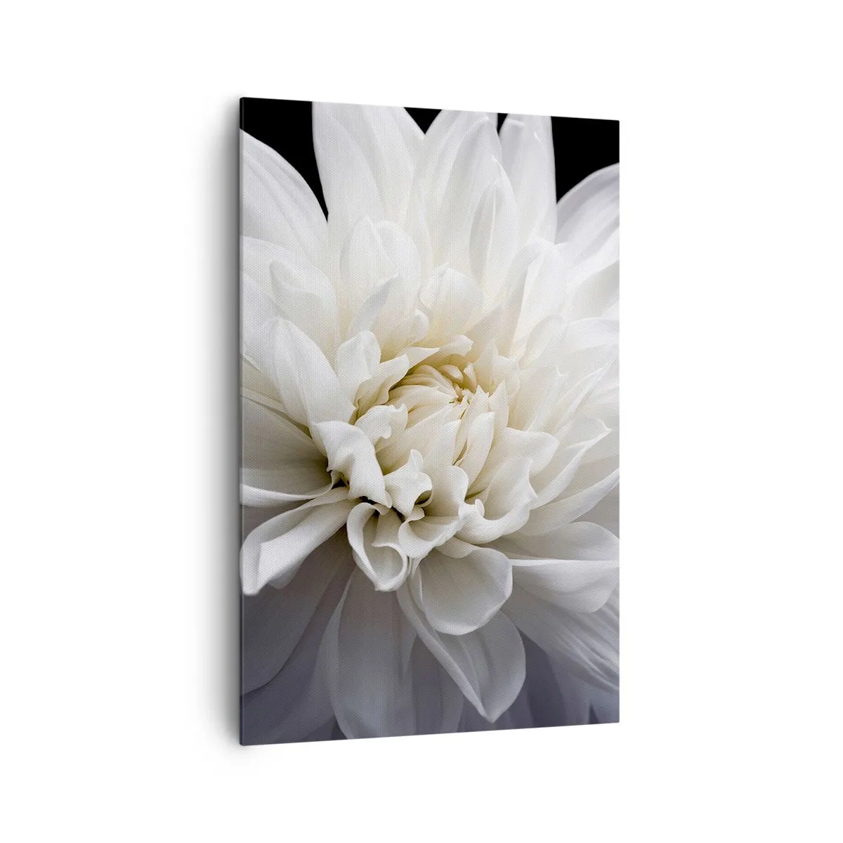 Canvastavla - Bild på duk - En bruds morgon - 80x120 cm