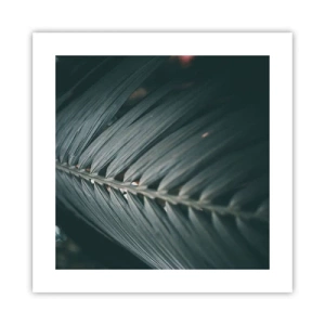 Affisch - Naturens precision - 40x40 cm