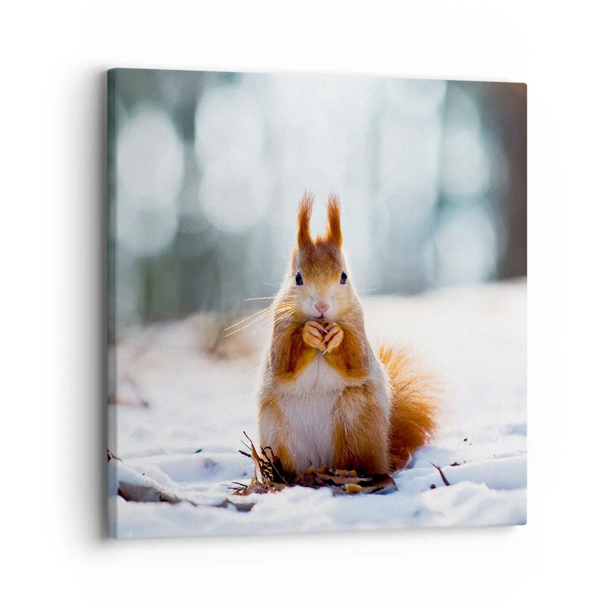 Canvastavla - Bild på duk - Vad glor du på? - 30x30 cm