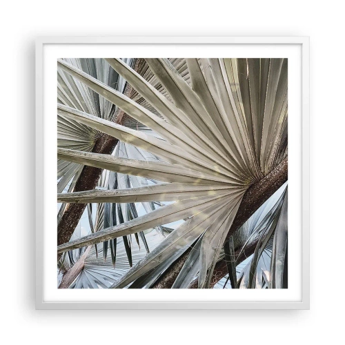 Affisch i vit ram - Solfjädrarna i tropikerna - 60x60 cm