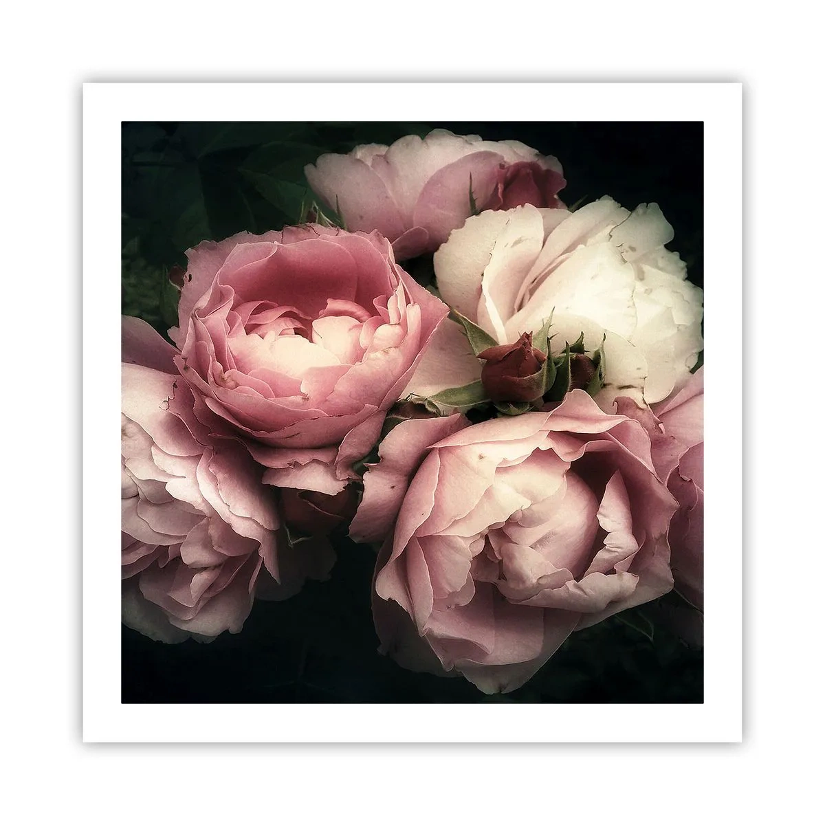 Affisch - Belle epoque charm - 60x60 cm