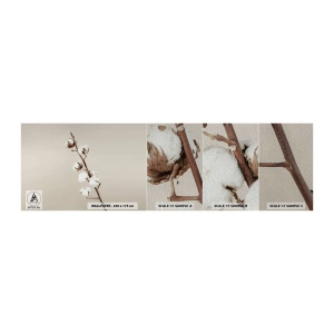 Provbit av fototapet Premium Sand - Hos mjukhetens källa - Bomullsblomma, Natur, Bomull - 100x30 cm