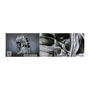 Provbit av fototapet Premium Canvas - Tillbaka till rötterna - indiska, Plym, Man - 100x30 cm