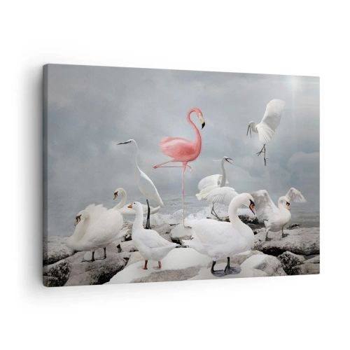 Canvastavla - Bild på duk - En rosa flamingo bland vita svanar mot bakgrund av en sjö - 70x50cm - Hur har jag hamnat här? - Modern väggdekoration för vardagsrum och sovrum ARTTOR