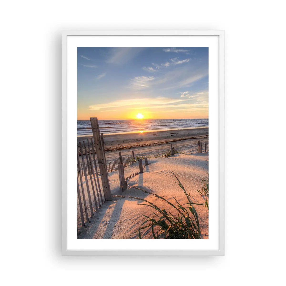 Affisch i vit ram - Vindens sken och skugga - 50x70 cm