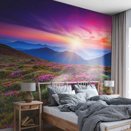 Fototapet Standard Eco - Doftande örter - Landskap, Berg, Blommor - 250x175 cm