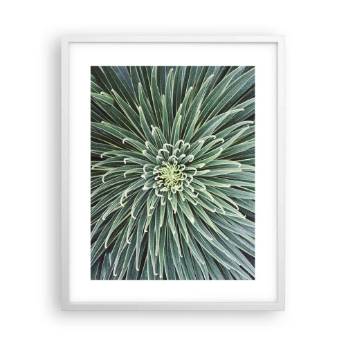 Affisch i vit ram - Stjärna föds - 40x50 cm