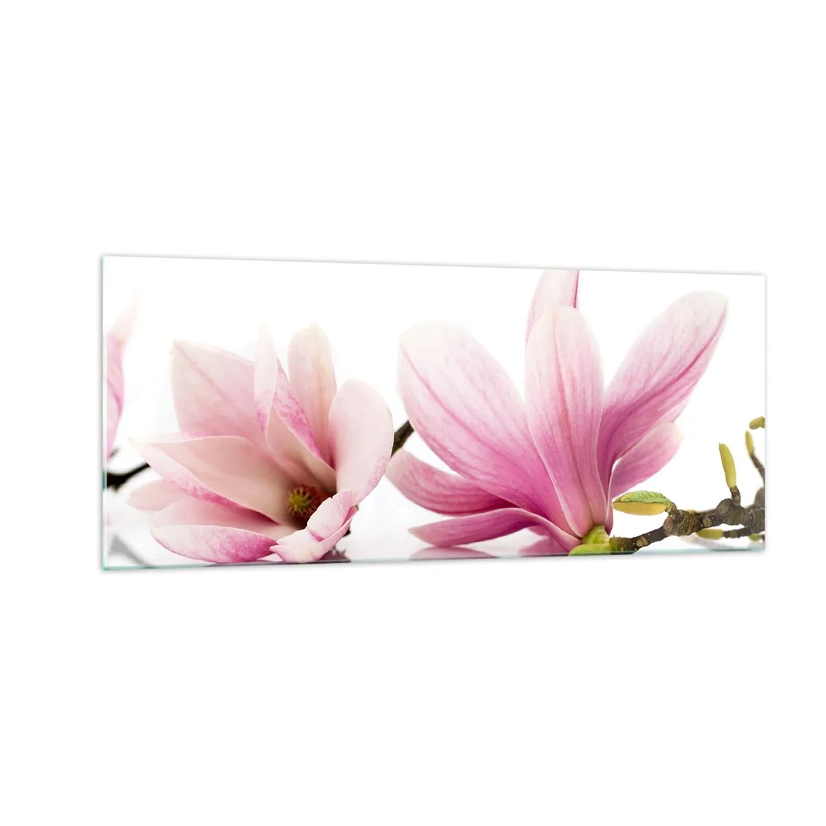 Glastavla - Bild på glas - Lätta som vårkänslan - 100x40 cm