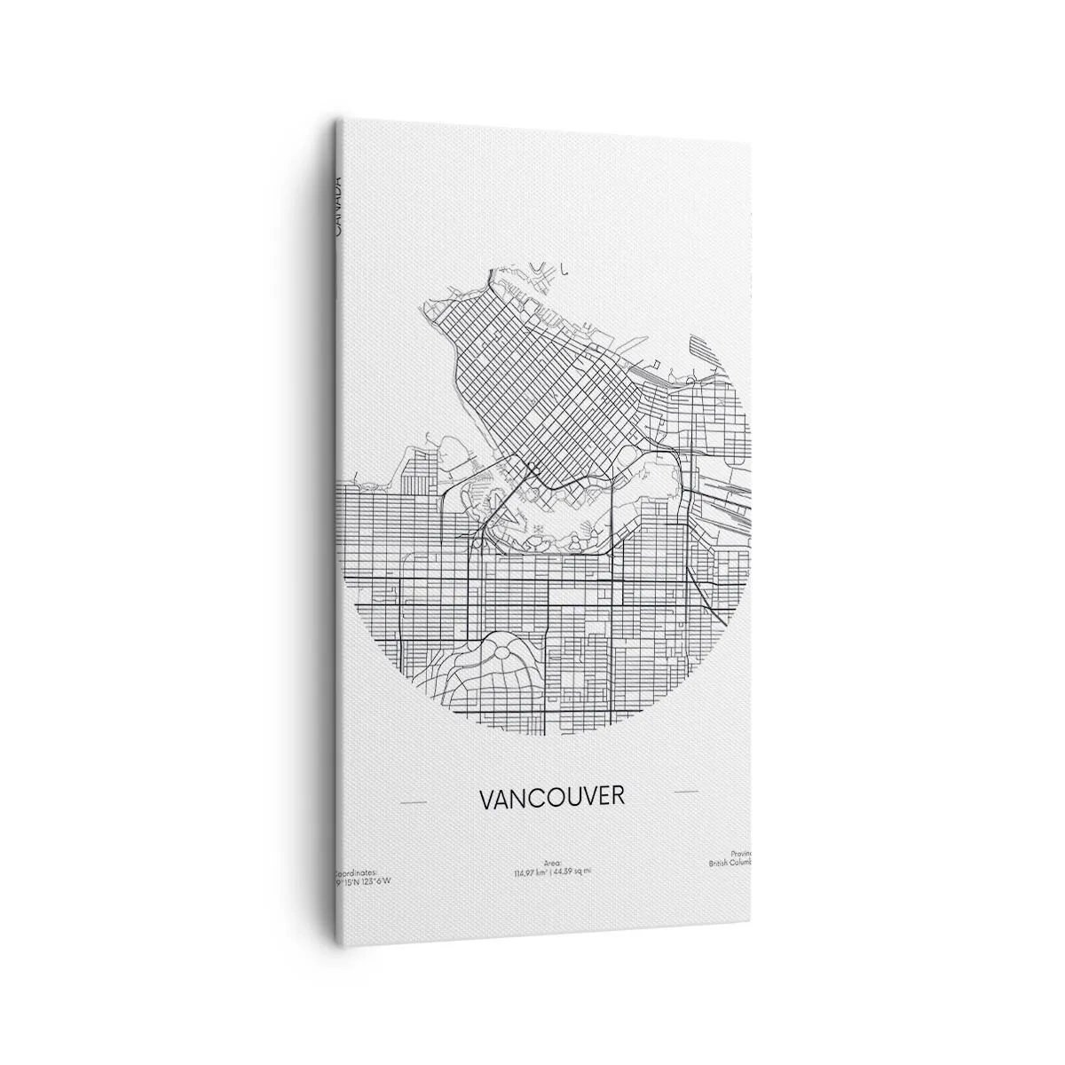 Canvastavla - Bild på duk - Vacouvers anatomi - 45x80 cm