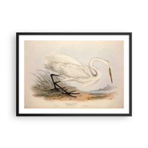 Affisch i svart ram - En dam i vassen - 70x50 cm