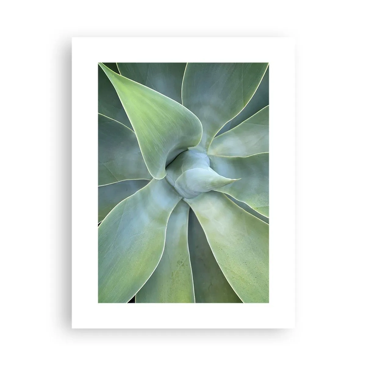 Affisch - Det gröna föds - 30x40 cm