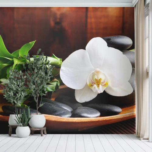 Fototapet Standard Eco - Bli berörd av naturen - Blommor, Orkide, Orkide - 150x105 cm