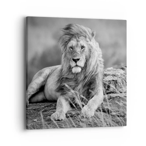 Canvastavla - Bild på duk - Kunglig siesta - 40x40 cm