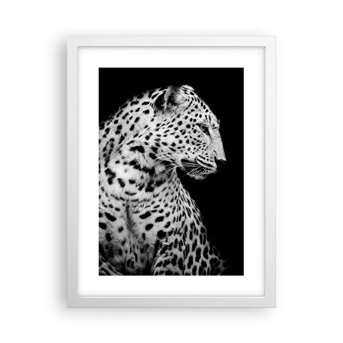 Affisch i vit ram - Perfekt höger profil! - 30x40 cm
