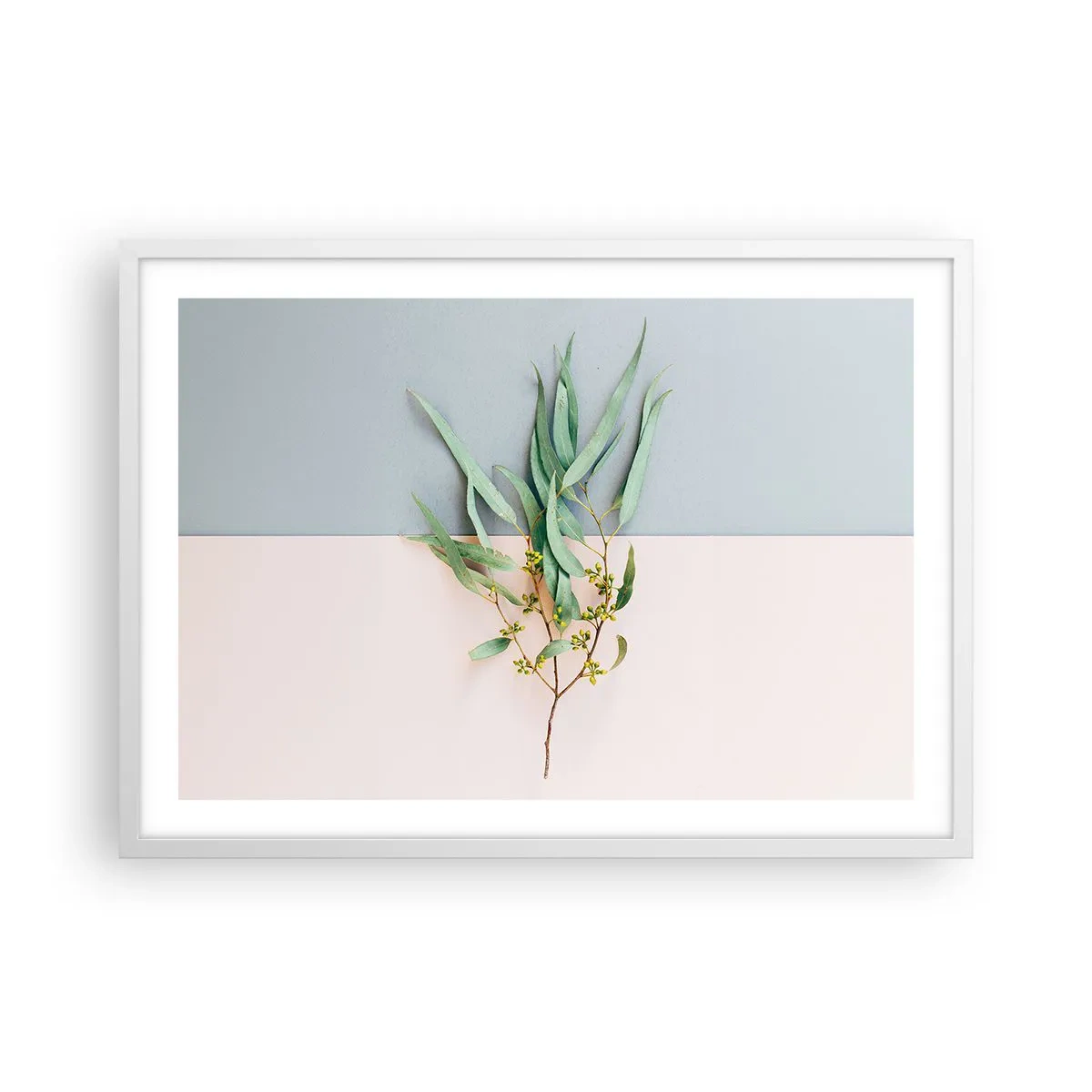 Affisch i vit ram - Pastellens subtilitet - 70x50 cm