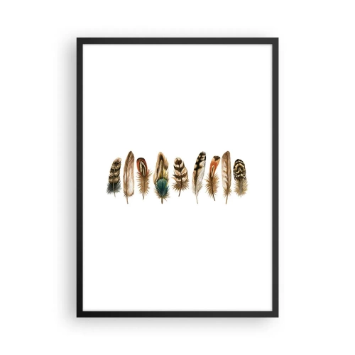 Affisch i svart ram - Färgglada fjädrar i rad - 50x70cm - Fjädervariation - Modern väggdekoration för vardagsrum och sovrum ARTTOR