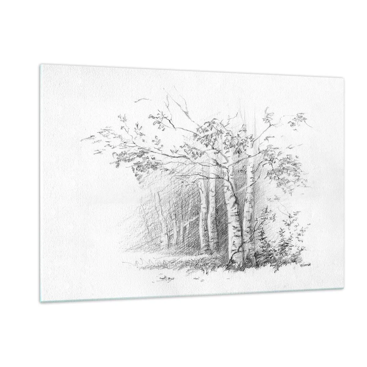 Glastavla - Bild på glas - Björkskogens ljus - 120x80 cm