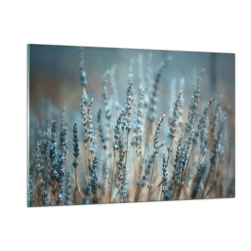 Glastavla - Bild på glas - Doftande åkermark - 120x80 cm