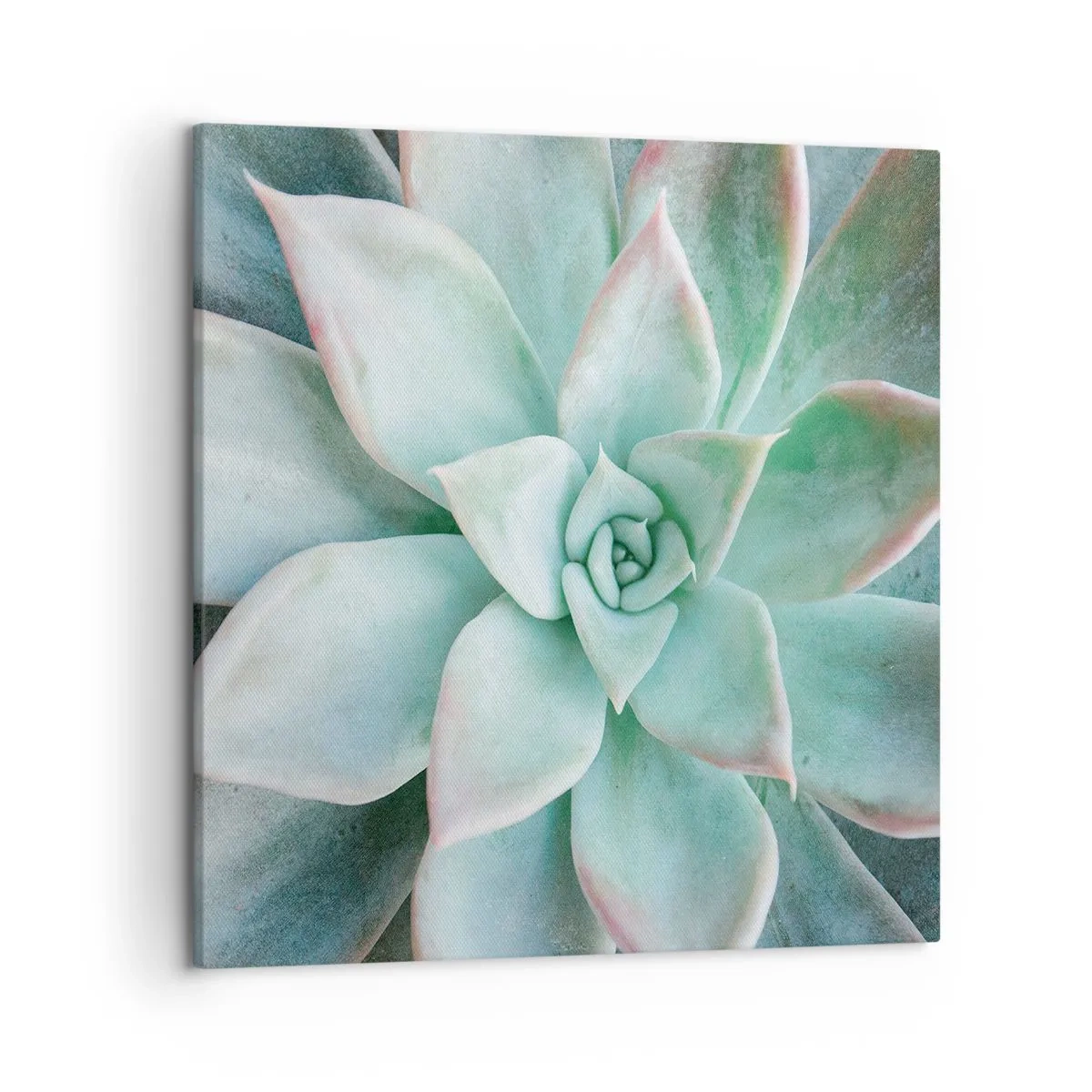 Canvastavla - Bild på duk - Öknens hjärta - 50x50 cm