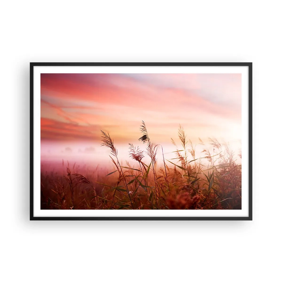 Affisch i svart ram - Drakar, maskrosor, vind - 100x70 cm