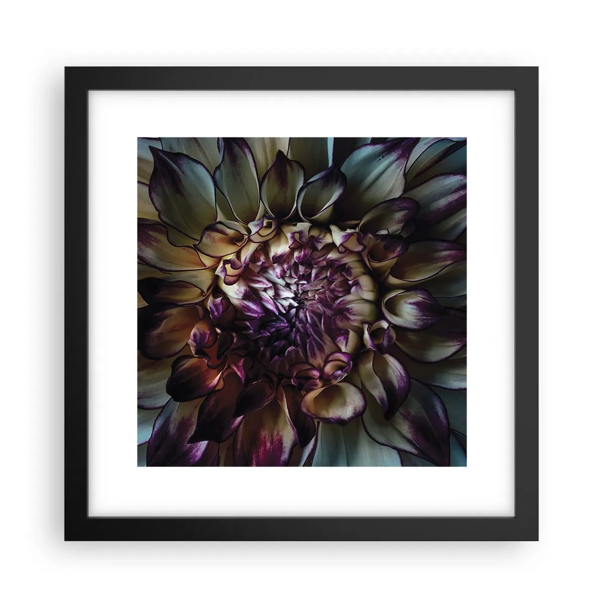 Affisch i svart ram - Blommande ungdom - 30x30 cm