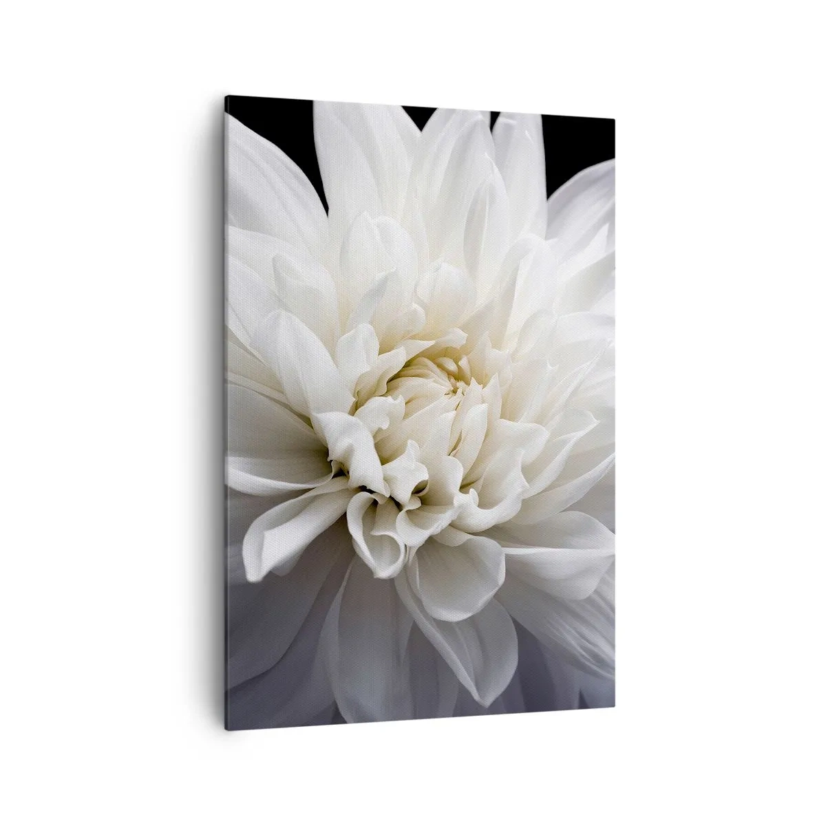 Canvastavla - Bild på duk - En bruds morgon - 70x100 cm