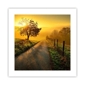 Affisch - Honungfärgad eftermiddag - 40x40 cm