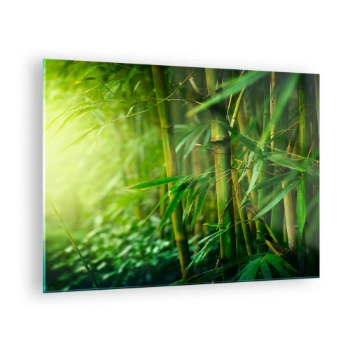 Glastavla - Bild på glas - Grön bambuskog i solskenet - 70x50cm - Lär känna grönskan i sig - Modern väggdekoration för vardagsrum och sovrum ARTTOR