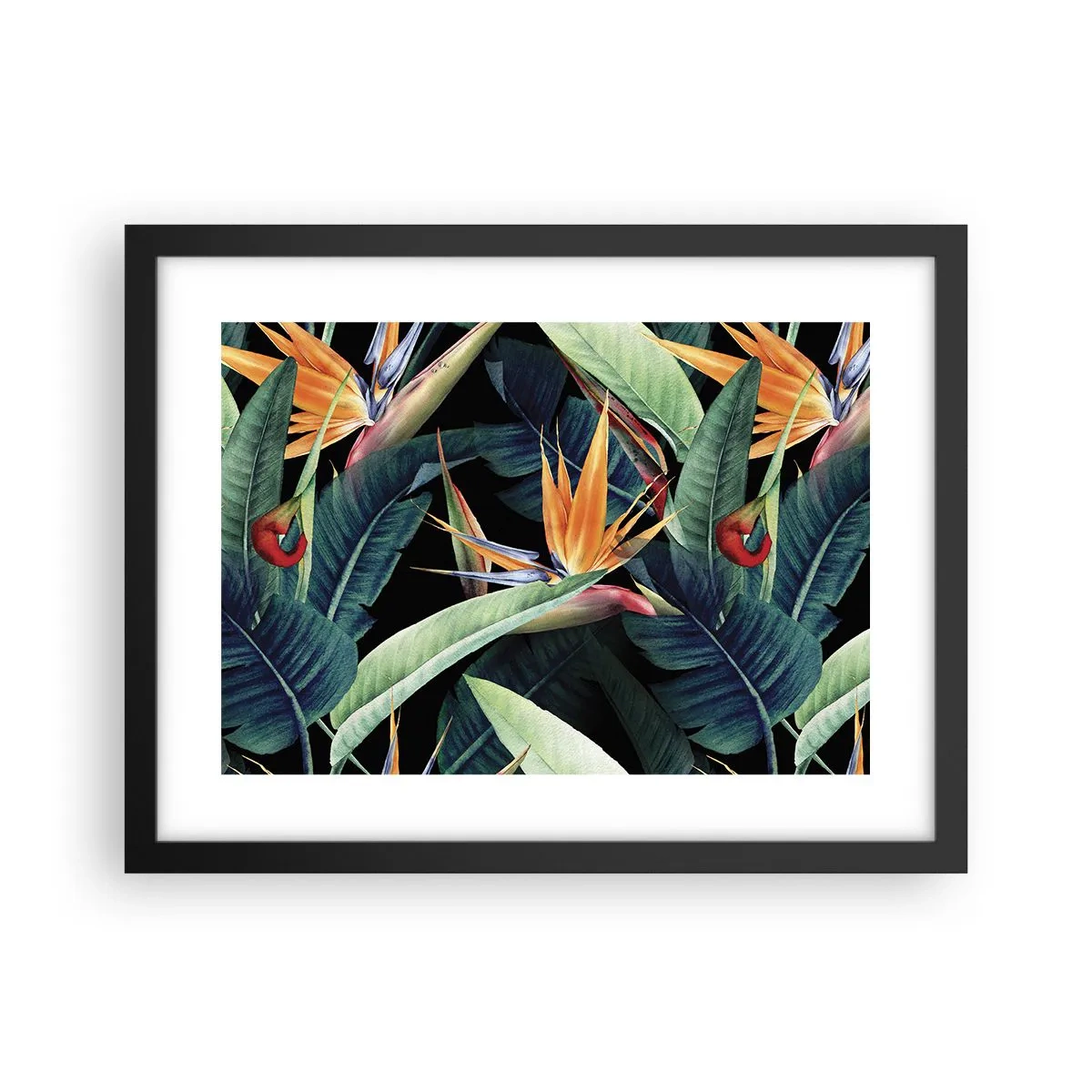 Affisch i svart ram - Tropikens brinnande blommor - 40x30 cm