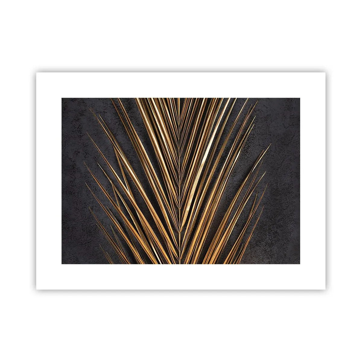 Affisch - Tropikens guld - 40x30 cm